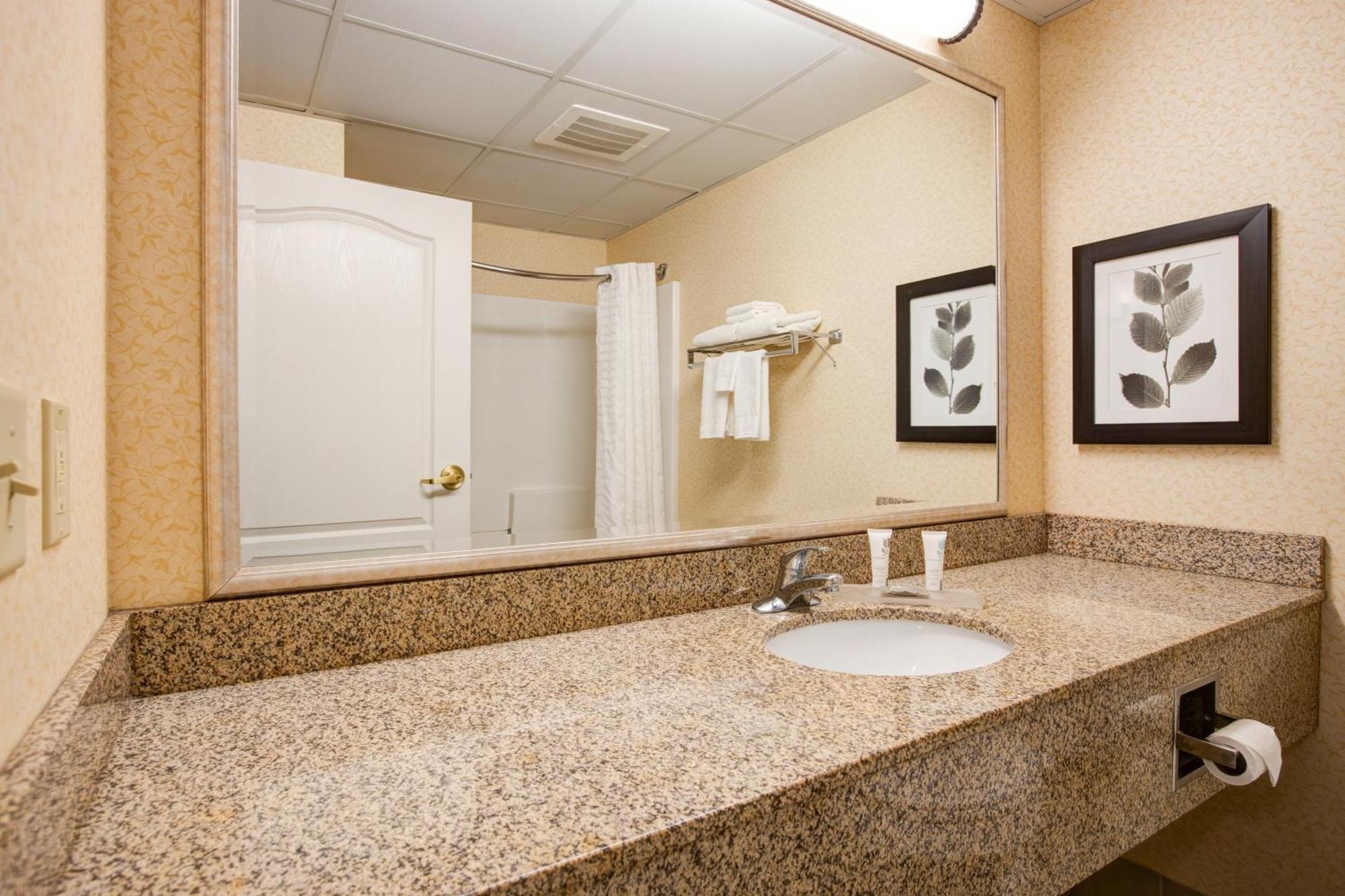 Comfort Inn & Suites St Paul Northeast Vadnais Heights Room photo